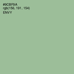 #9CBF9A - Envy Color Image