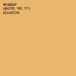 #E8B66F - Equator Color Image