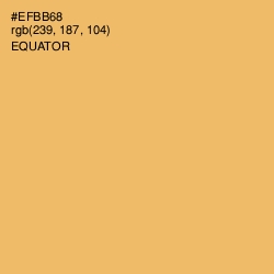 #EFBB68 - Equator Color Image