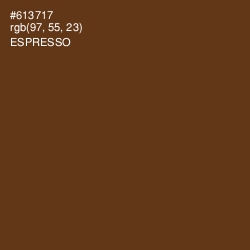 #613717 - Espresso Color Image