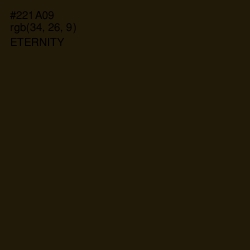#221A09 - Eternity Color Image