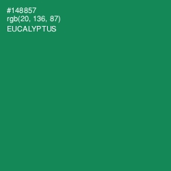 #148857 - Eucalyptus Color Image