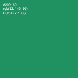 #209160 - Eucalyptus Color Image