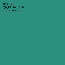 #2B917E - Eucalyptus Color Image