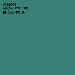 #3B8076 - Eucalyptus Color Image