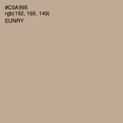 #C0A995 - Eunry Color Image
