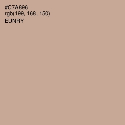 #C7A896 - Eunry Color Image