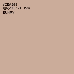 #CBAB99 - Eunry Color Image