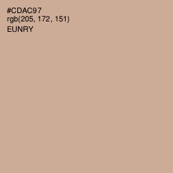 #CDAC97 - Eunry Color Image