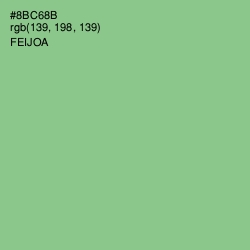 #8BC68B - Feijoa Color Image