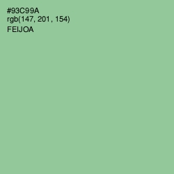#93C99A - Feijoa Color Image