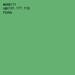 #65B171 - Fern Color Image