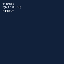 #11213B - Firefly Color Image