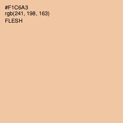 #F1C6A3 - Flesh Color Image