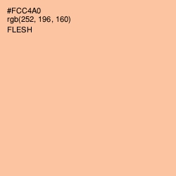 #FCC4A0 - Flesh Color Image