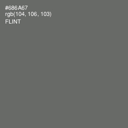 #686A67 - Flint Color Image