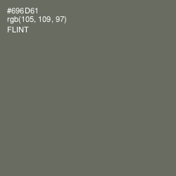 #696D61 - Flint Color Image