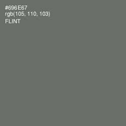 #696E67 - Flint Color Image