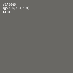 #6A6865 - Flint Color Image