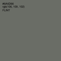 #6A6D66 - Flint Color Image