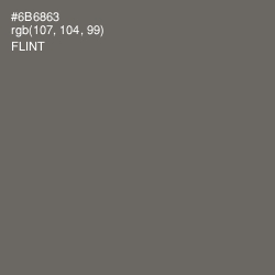 #6B6863 - Flint Color Image