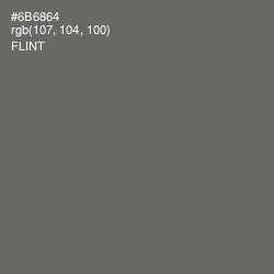 #6B6864 - Flint Color Image