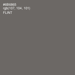 #6B6865 - Flint Color Image