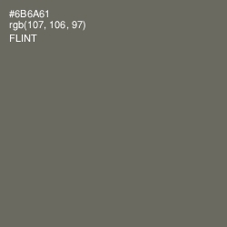 #6B6A61 - Flint Color Image