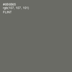 #6B6B65 - Flint Color Image