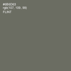 #6B6D63 - Flint Color Image