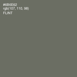 #6B6E62 - Flint Color Image