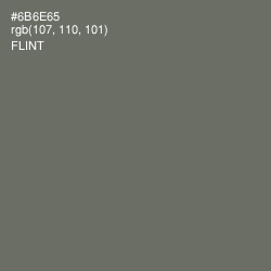 #6B6E65 - Flint Color Image