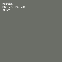 #6B6E67 - Flint Color Image