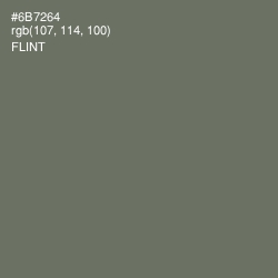 #6B7264 - Flint Color Image