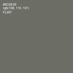 #6C6E65 - Flint Color Image