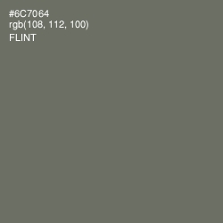 #6C7064 - Flint Color Image