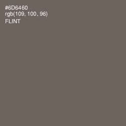#6D6460 - Flint Color Image