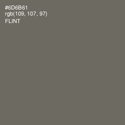 #6D6B61 - Flint Color Image