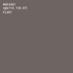 #6E6461 - Flint Color Image