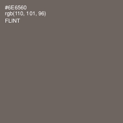#6E6560 - Flint Color Image