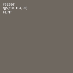 #6E6861 - Flint Color Image