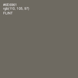 #6E6961 - Flint Color Image