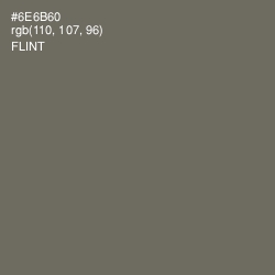 #6E6B60 - Flint Color Image