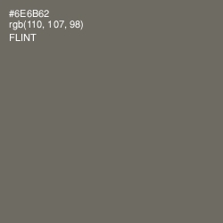 #6E6B62 - Flint Color Image