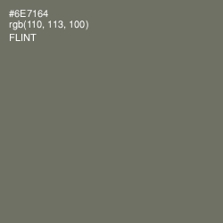 #6E7164 - Flint Color Image