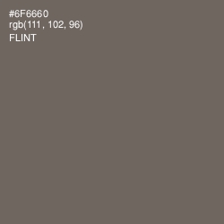 #6F6660 - Flint Color Image