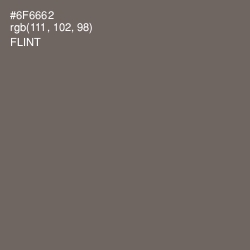#6F6662 - Flint Color Image