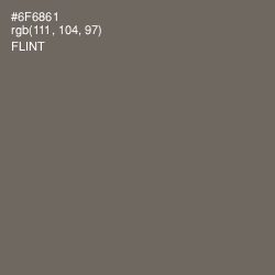 #6F6861 - Flint Color Image
