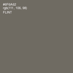 #6F6A62 - Flint Color Image