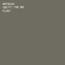 #6F6C62 - Flint Color Image